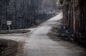 Freguesia de Dardavaz - incêndios