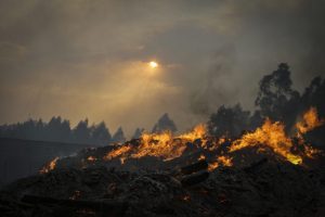 Freguesia de Dardavaz - incêndios